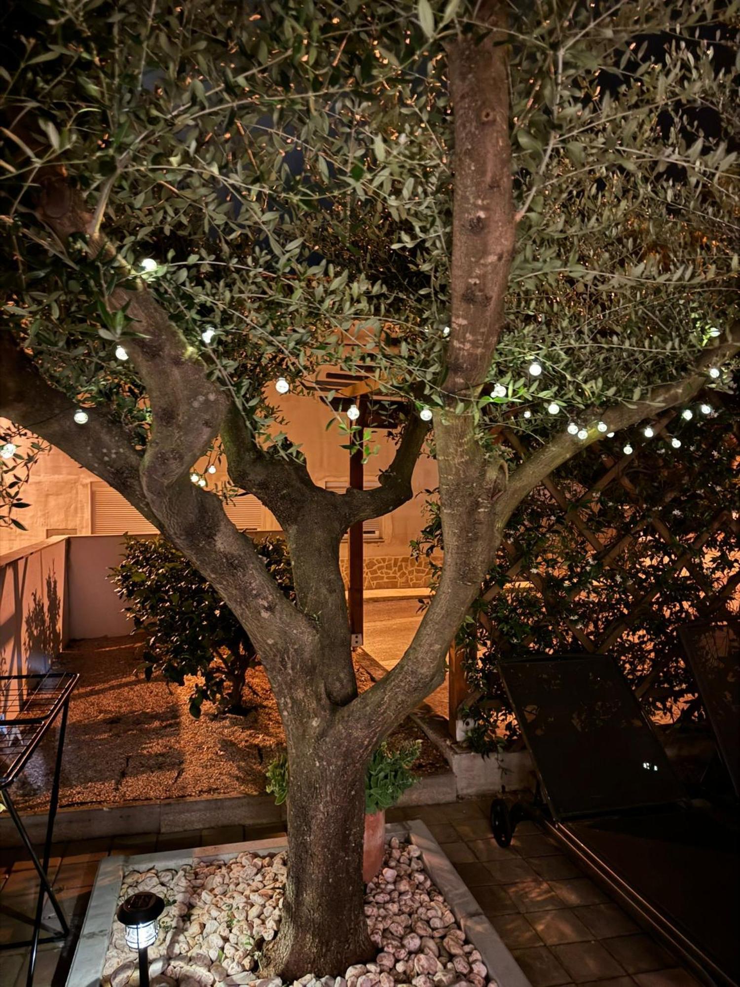 Apartments Noa Umag Dış mekan fotoğraf